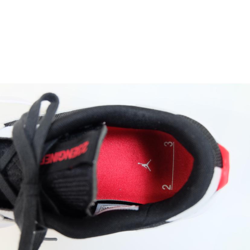 NIKE ナイキ/NIKE AIR JORDAN 200E/DC9836-160//Bランク/71