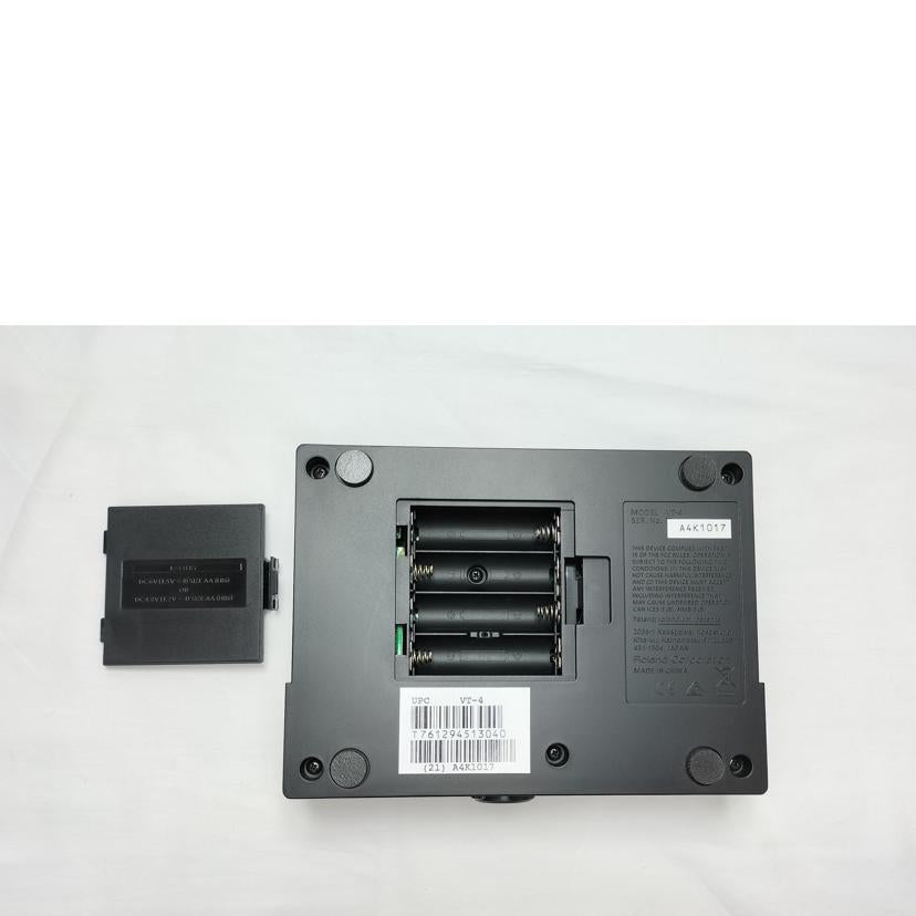 Roland/ボイストランスフォーマー/VT-4//A4K1017/ABランク/52