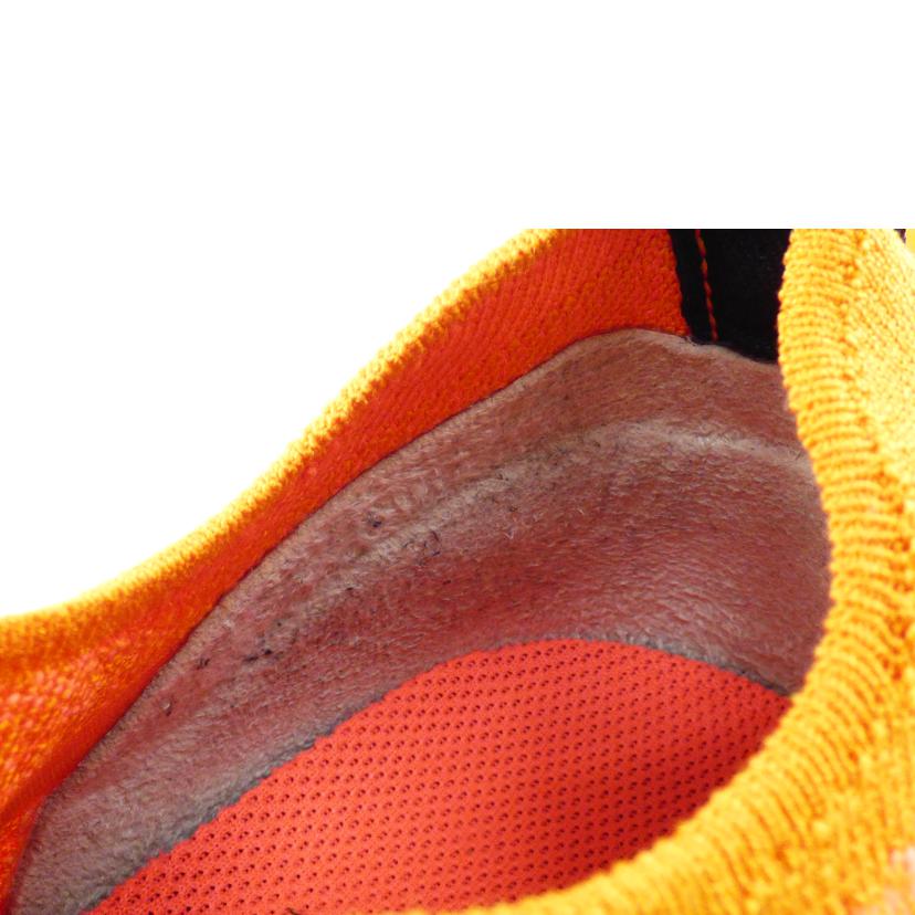 NIKE ナイキ/メンズスニーカー/AQ00067-800//ABランク/64