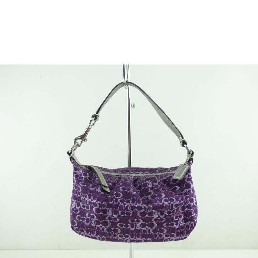 COACH コーチ/ポーチ/42039//H0873/ABランク/64