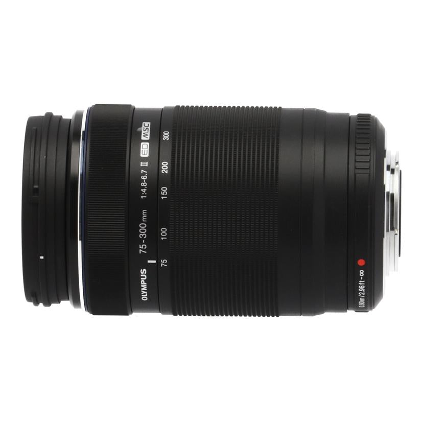 OLYMPUS オリンパス/交換レンズ/75-300mm/M.ZUIKO ED 75-300mm II//343130330/Bランク/62