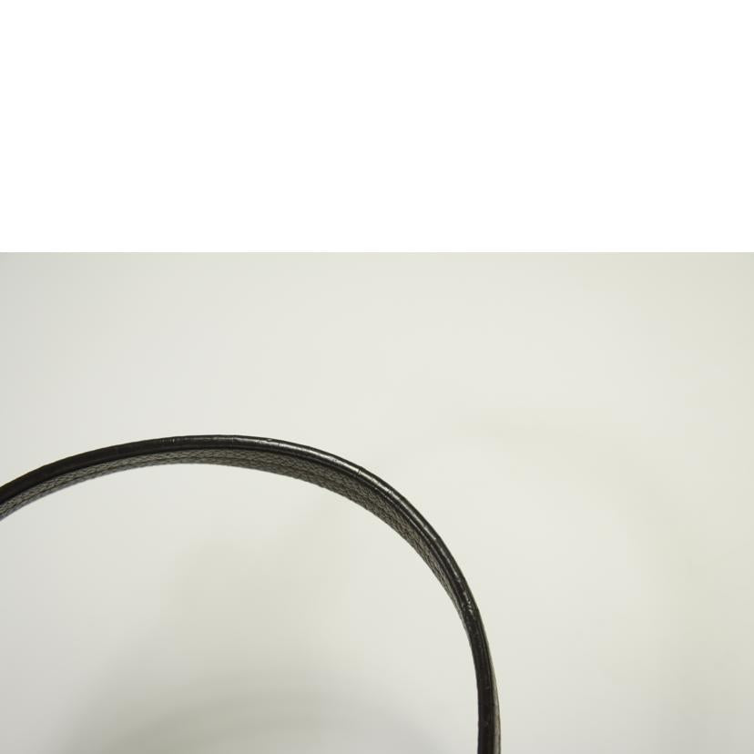 LV ルイヴィトン/ルミニューズPM/アンプラント・オンブル/M93409 //SP2132/ABランク/75