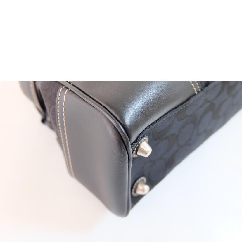 COACH コーチ/ハンプトンズシグネチャーキャリーオール/10245//F06*/Bランク/71