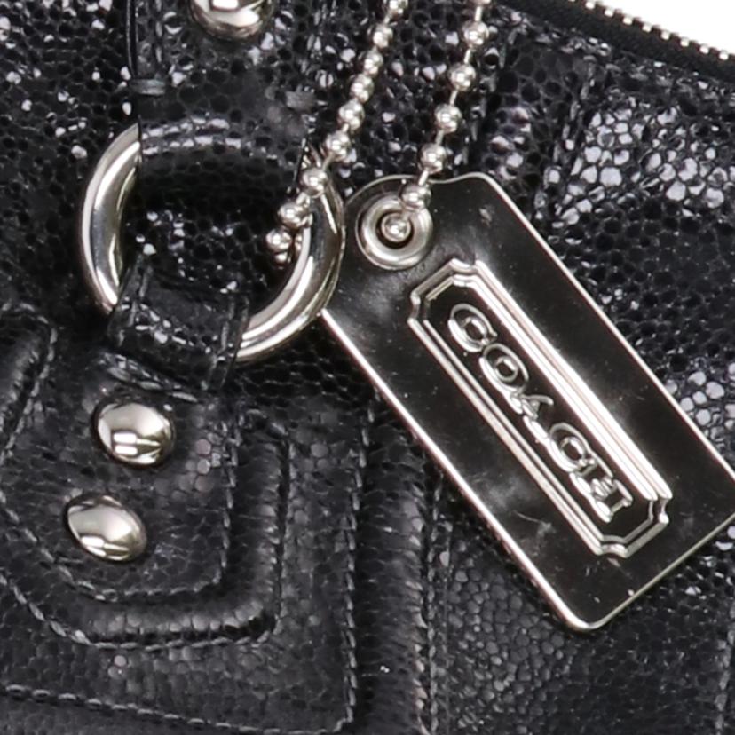 COACH コーチ/レザー2Wayハンド/14232//G0973/ABランク/75