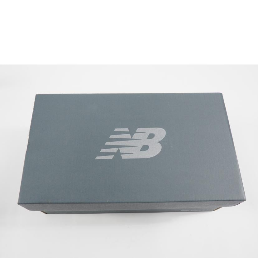 New Balance ニューバランス/レディーズスニーカー/WL574XG2//SAランク/79