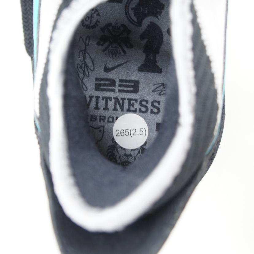 NIKE ナイキ/LEBRON XVI LOW AC EP/26.5cm/CI3358-003//ABランク/03