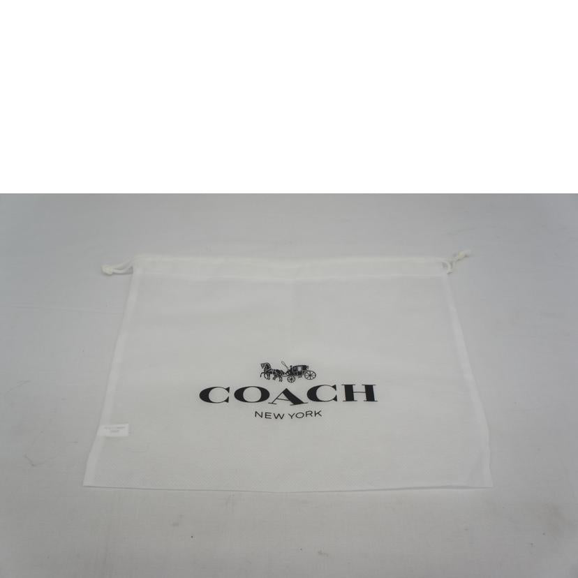 COACH コーチ/シグネチャーミニカメラバッグ/C8666//M2139/ABランク/05