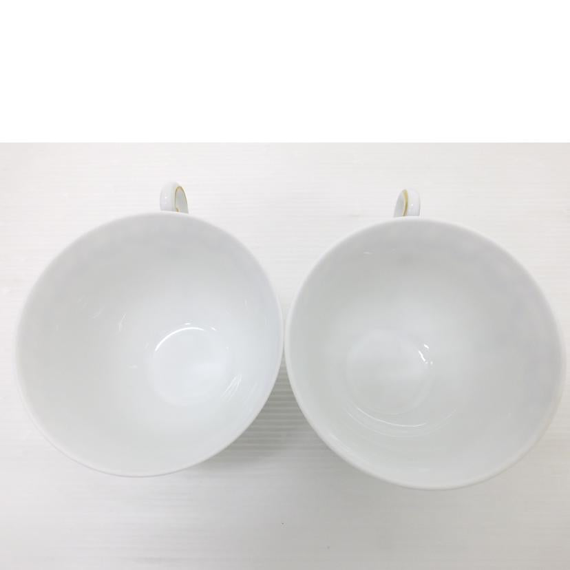 Richard Ginori/ペアカップ&ソーサー/フィオッコグレース/フィオッコグレース//Aランク/88