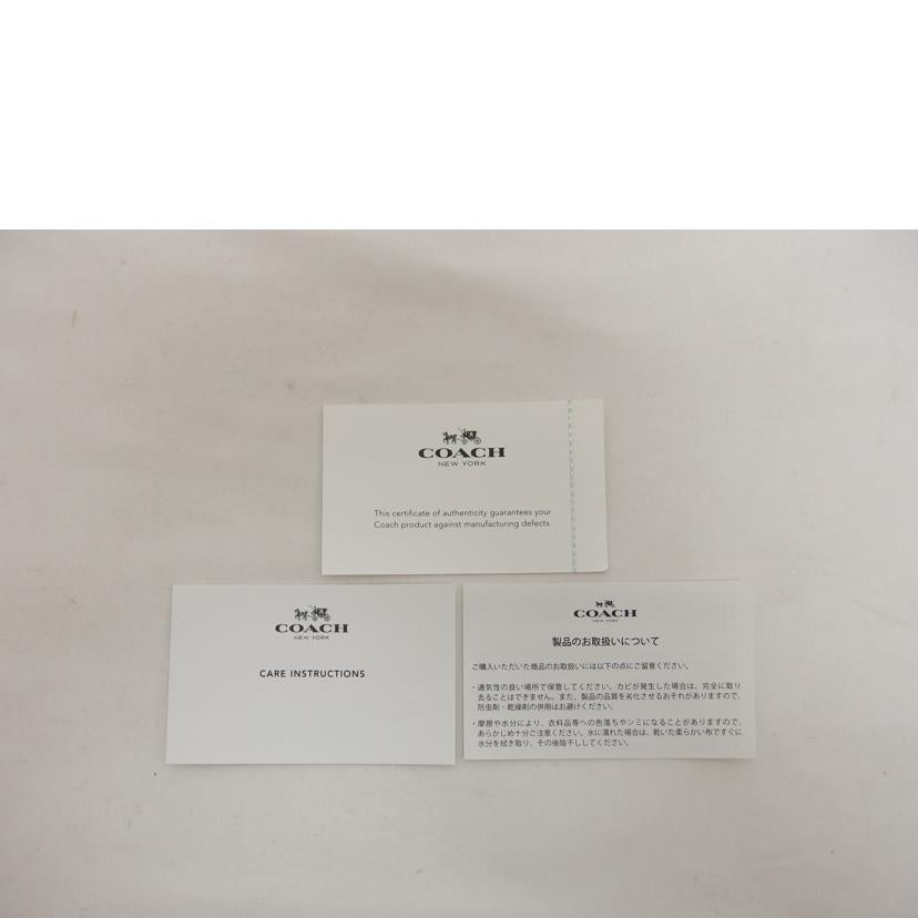 COACH コーチ/ターンロック/レザーリュック/グリーンクリーム/37582//M1580/Bランク/04