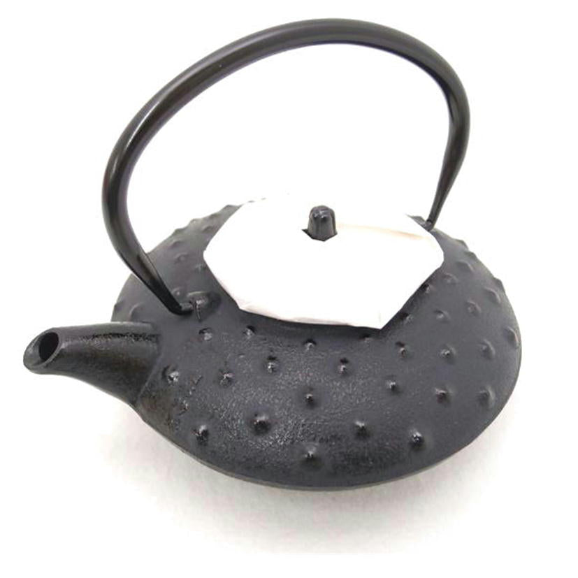 主善堂/鉄急須 瓶敷付き 南部鉄器//Sランク/69