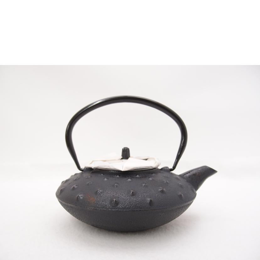 主善堂/鉄急須 瓶敷付き 南部鉄器//Sランク/69