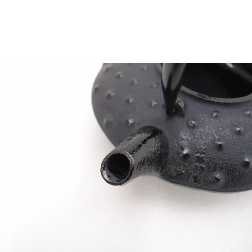 主善堂/鉄急須 瓶敷付き 南部鉄器//Sランク/69