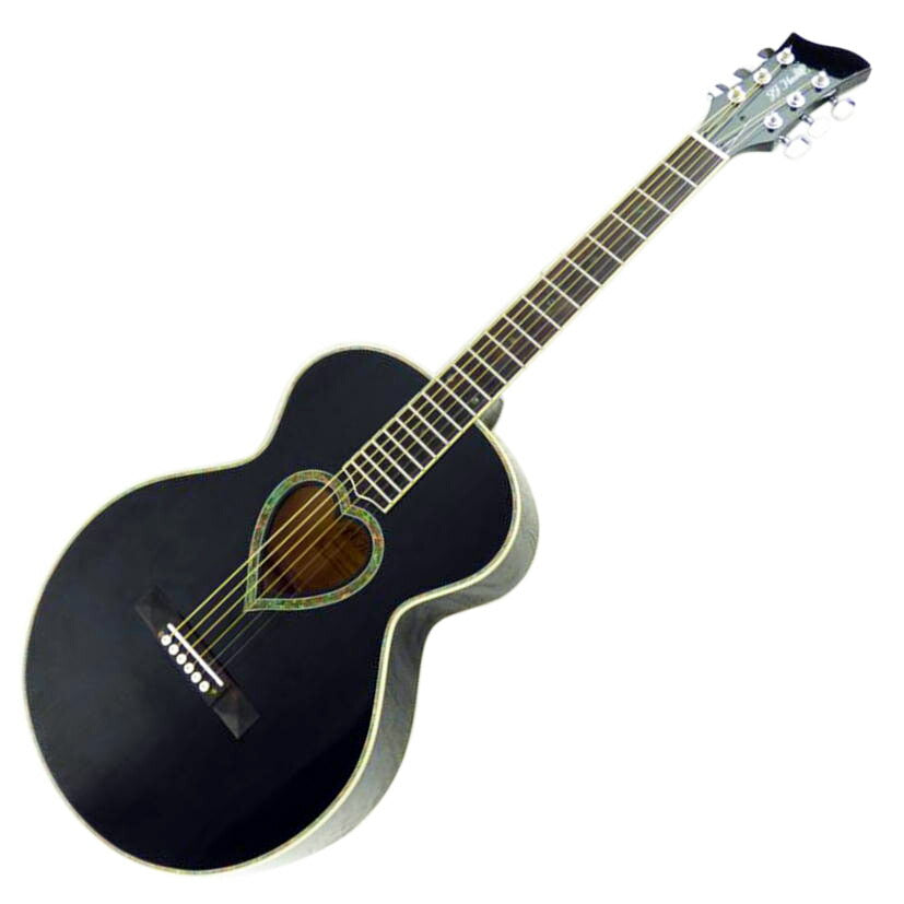 JJ HEART アコースティックギター（JJ HEATS /楽器｜REXT