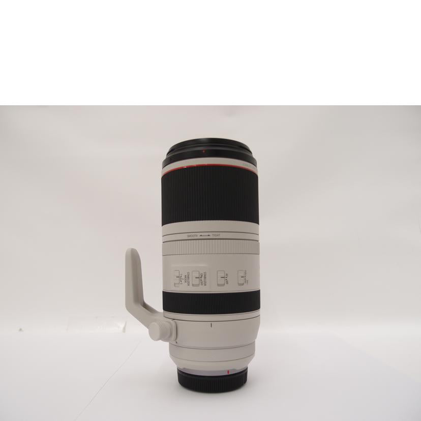 Canon キャノン/デジタル対応レンズ/RF100-500mm F4.5-7.1 L IS USM//9504001945/SAランク/69