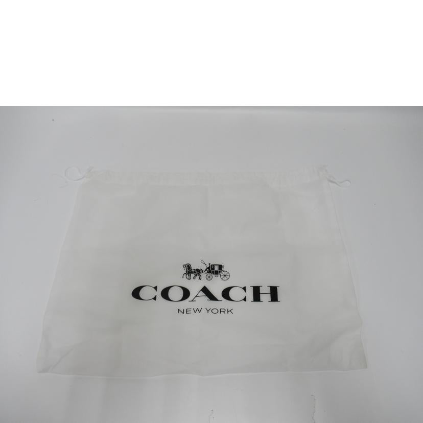 COACH/チェーントートバッグ/レザー・フローラル/F25894//M1781/ABランク/63