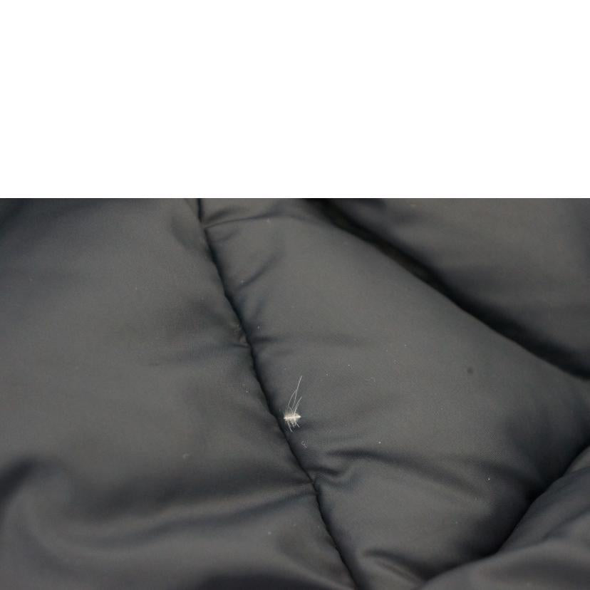 THE NORTH FACE ノースフェイス/マウンテンダウンJKT ピート/ND91737//ABランク/09