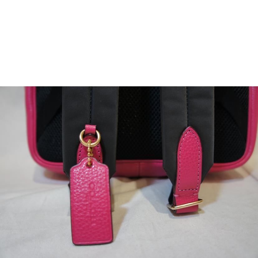 COACH コーチ/シグネチャーバックパック/C8522//L2121/Aランク/94