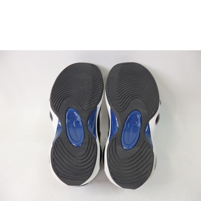 NIKE/AIR ZOOM FLIOGHT95/DV6994-001//ABランク/84