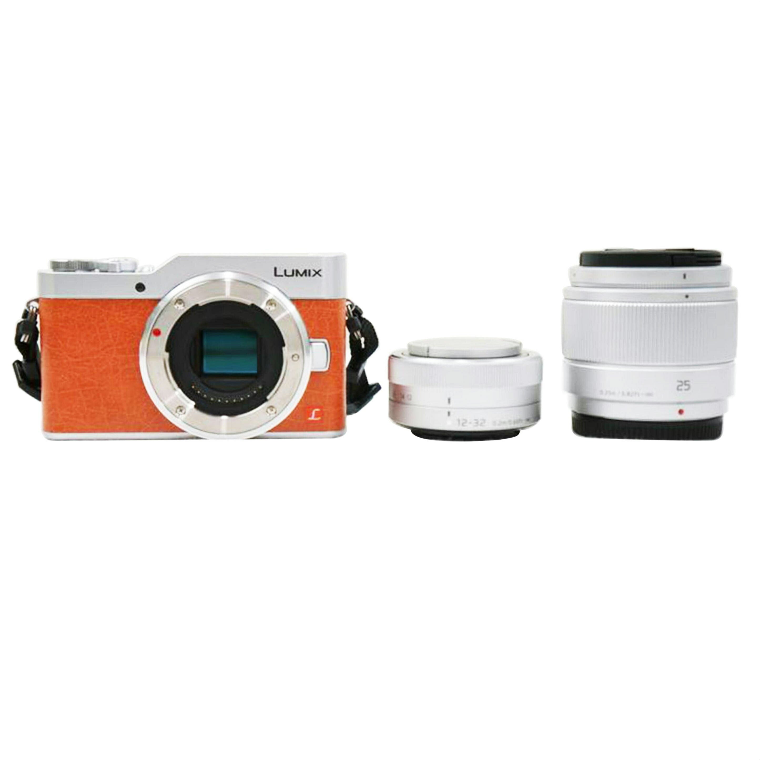 Panasonic パナソニック/デジタル一眼 ダブルレンズキット/DC-GF9//WF8HB003821/ABランク/67