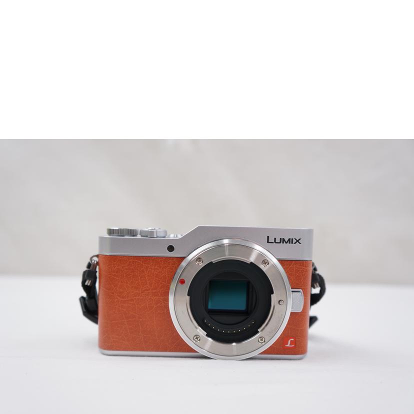 Panasonic パナソニック/デジタル一眼 ダブルレンズキット/DC-GF9//WF8HB003821/ABランク/67
