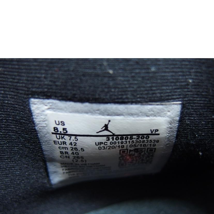 NIKE ナイキ/エアジョーダン10レトロ/ダックモカ/スニーカー/310805-200//ABランク/04