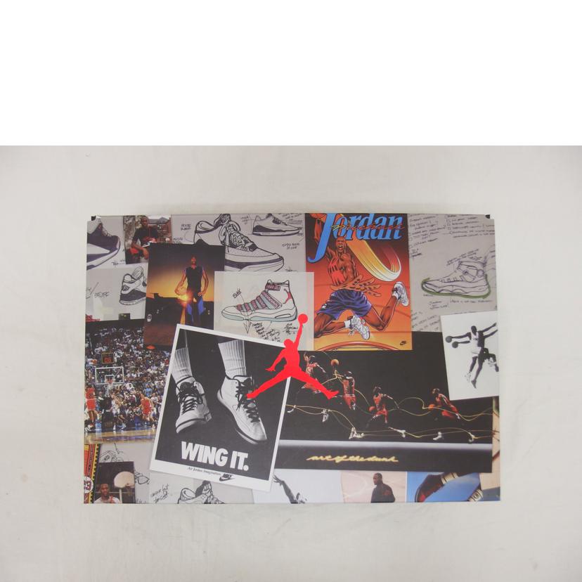 NIKE ナイキ/エアジョーダン10レトロ/ダックモカ/スニーカー/310805-200//ABランク/04