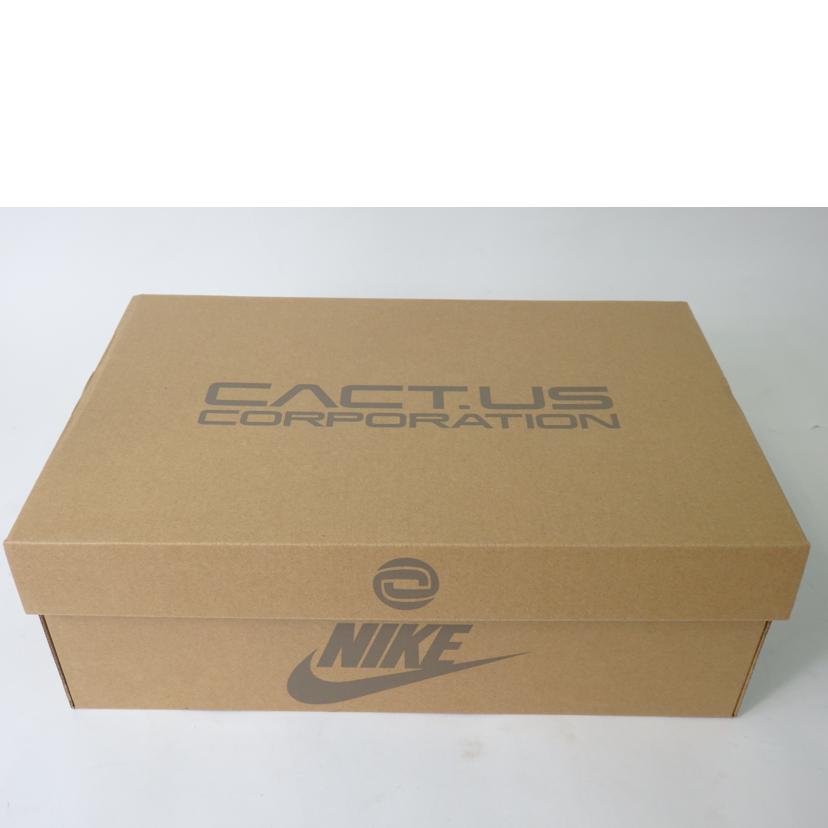 NIKE ナイキ/AIR MAX1/CJ/DO9392-200//Aランク/84