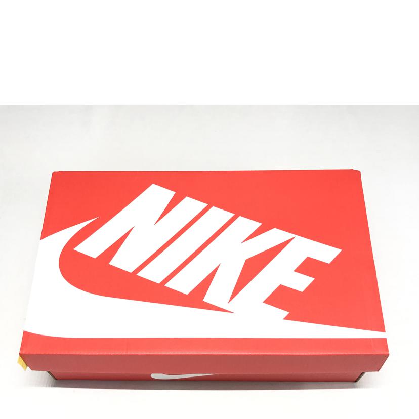 NIKE ナイキ/ナイキ ダンク LOW レトロ PRM/DD8338-001//Aランク/51