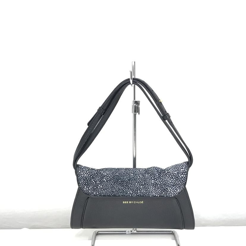 SEE BY CHLOE シーバイクロエ/2WAYクラッチバッグ/02139565//ABランク/51