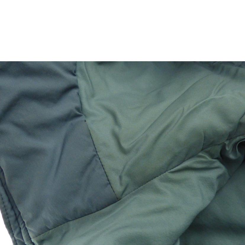 ARC'TERYX アークテリクス/proton lt hoody/24007-12074//Bランク/64