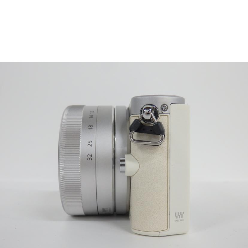 panasonic パナソニック/ミラーレス一眼/DMC-GM1レンズキット/DMC-GM1K//WF3KA001876/Cランク/71