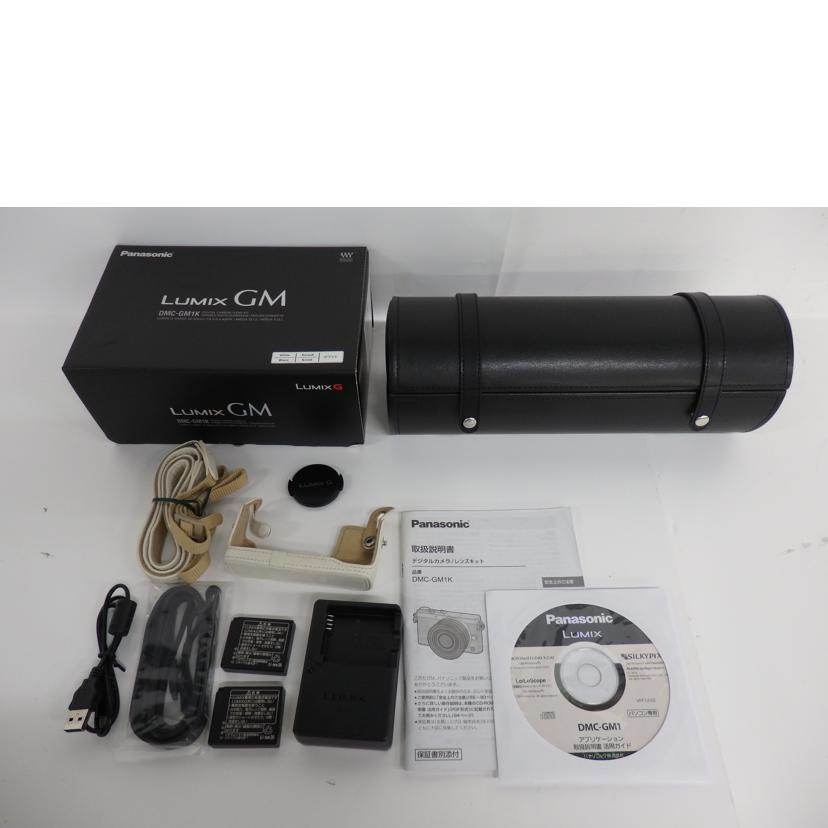 panasonic パナソニック/ミラーレス一眼/DMC-GM1レンズキット/DMC-GM1K//WF3KA001876/Cランク/71