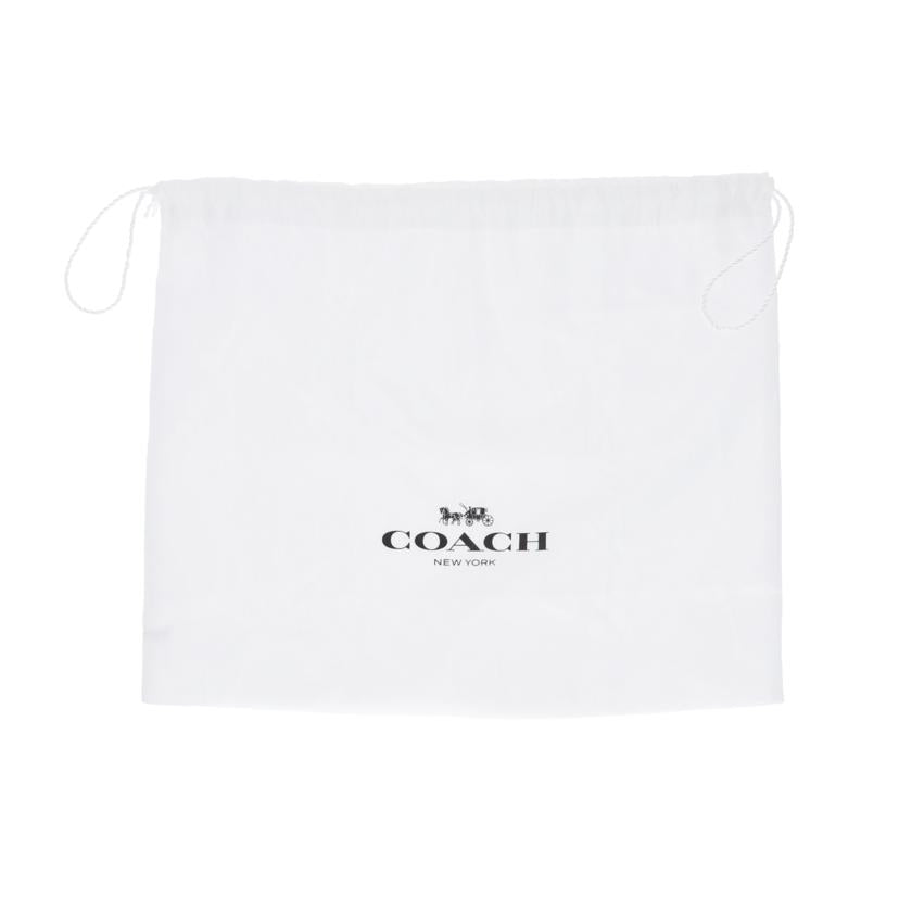 COACH コーチ/アンディクロスボディ/2way/CA213//J22**/ABランク/77