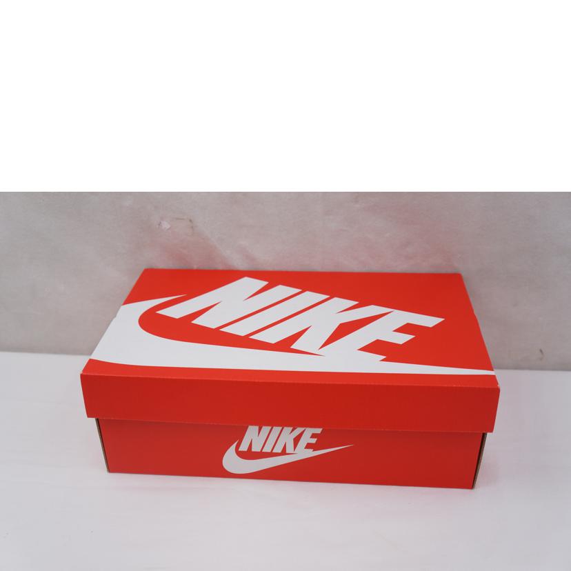 NIKE ナイキ/NIKE DUNK LOW RETRO/DD1391-701//ABランク/67