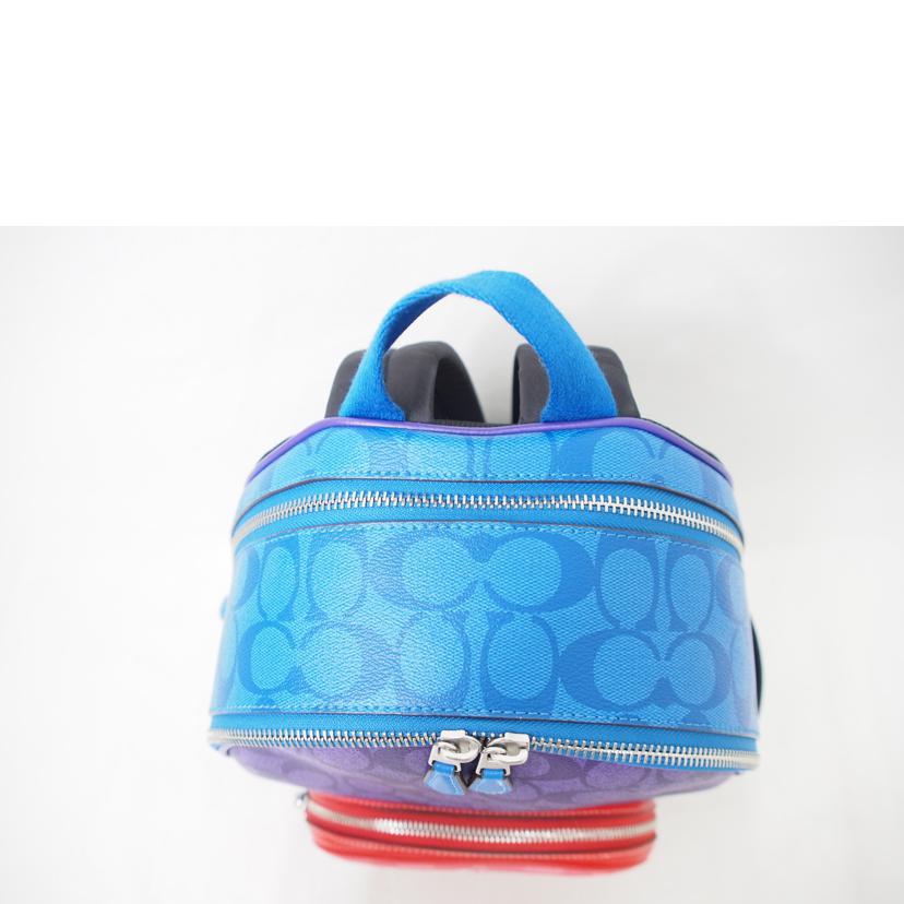 COACH コーチ/シグネチャー/バックパック/マルチカラー/CA156//B2247/Aランク/78