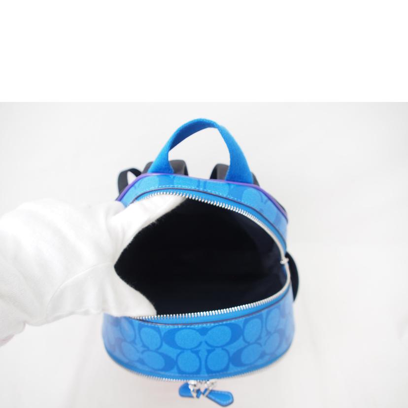 COACH コーチ/シグネチャー/バックパック/マルチカラー/CA156//B2247/Aランク/78