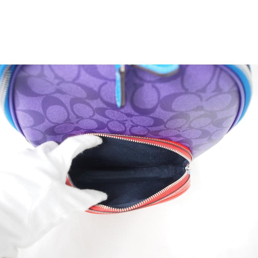 COACH コーチ/シグネチャー/バックパック/マルチカラー/CA156//B2247/Aランク/78