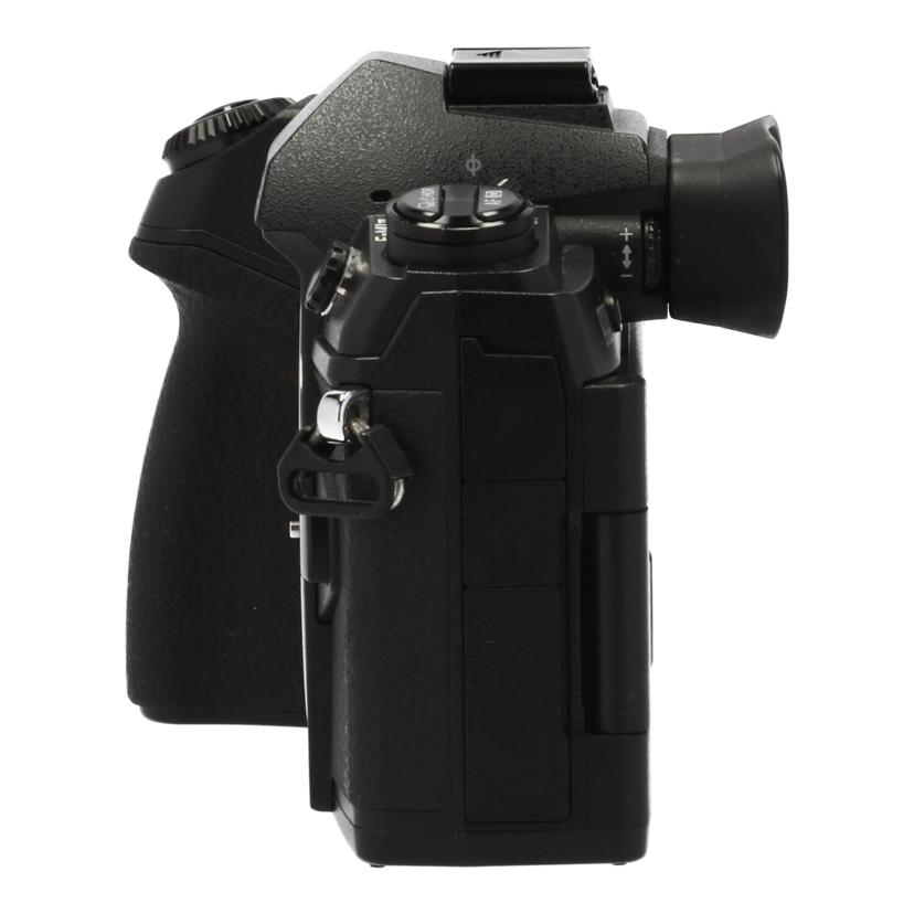 OLYMPUS オリンパス/ミラーレス一眼カメラ/OM-D E-M1 MKⅡボディ//BHUA10112/Bランク/78