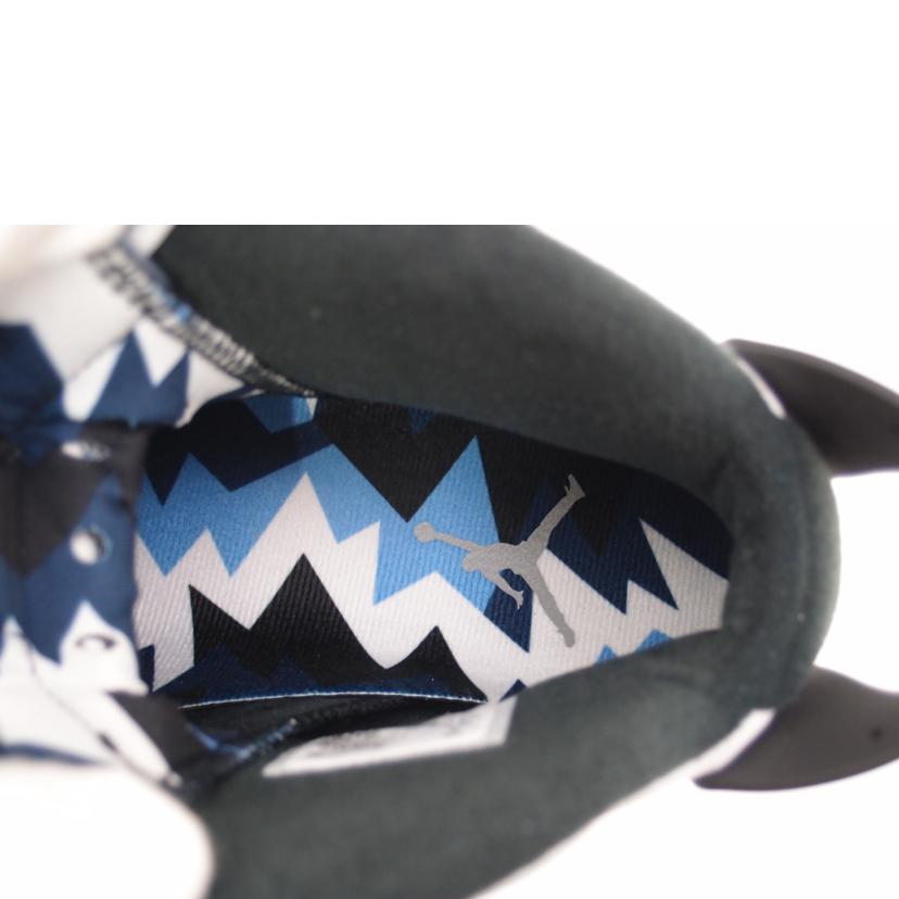 NIKE ナイキ/NIKE AIR JORDAN 6 retro/CT8529-410//Sランク/69