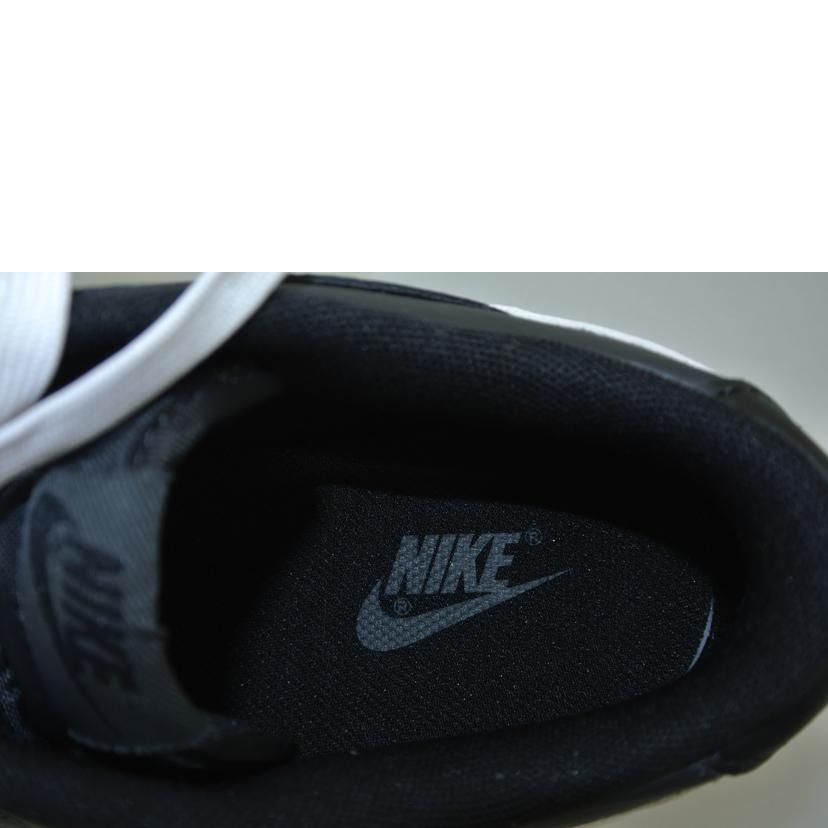 NIKE ナイキ/DUNK LOW /DJ6188-002//27.0/SAランク/87