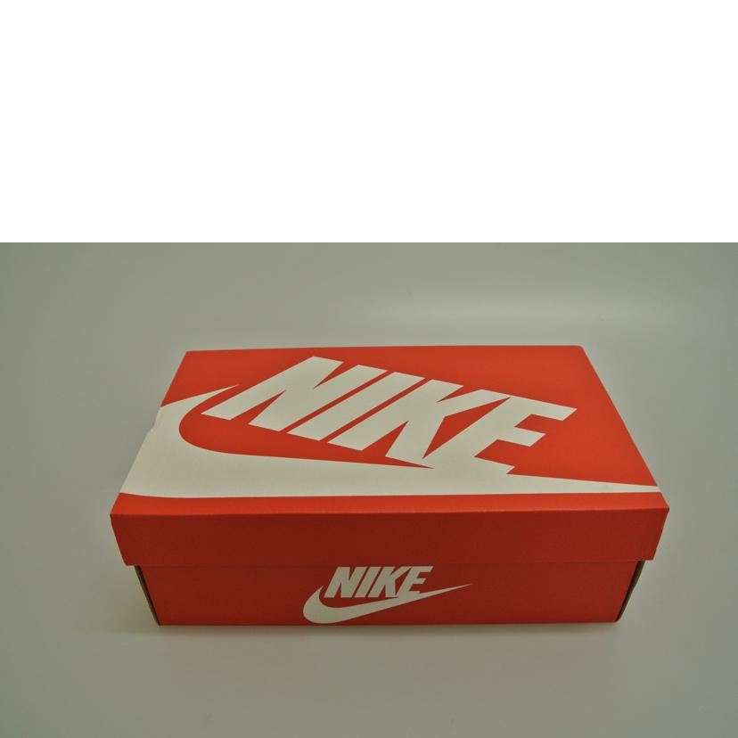 NIKE ナイキ/DUNK LOW /DJ6188-002//27.0/SAランク/87