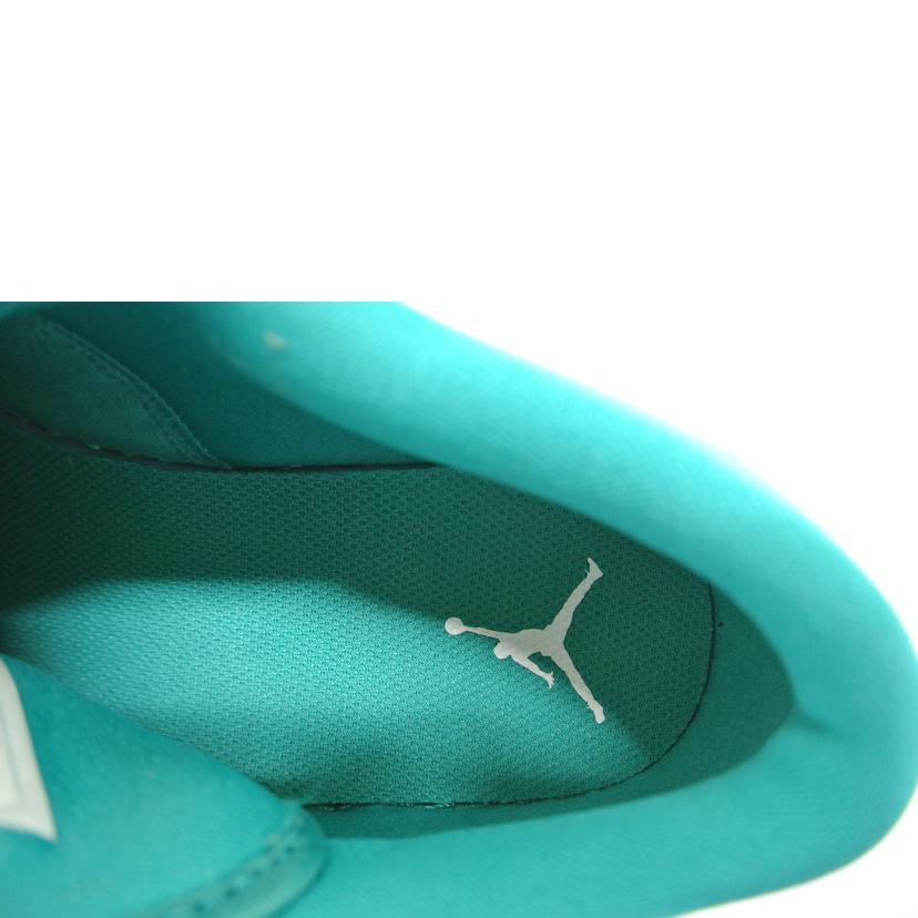 ナイキ NIKE/W.AJ1 LOW/DC0774-132//28.0/SAランク/87