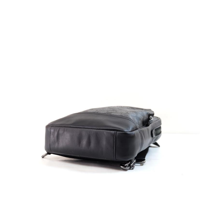 COACH コーチ/PVCシグネチャーグラハムパック/ボディバック/C2932//C22**/Aランク/71