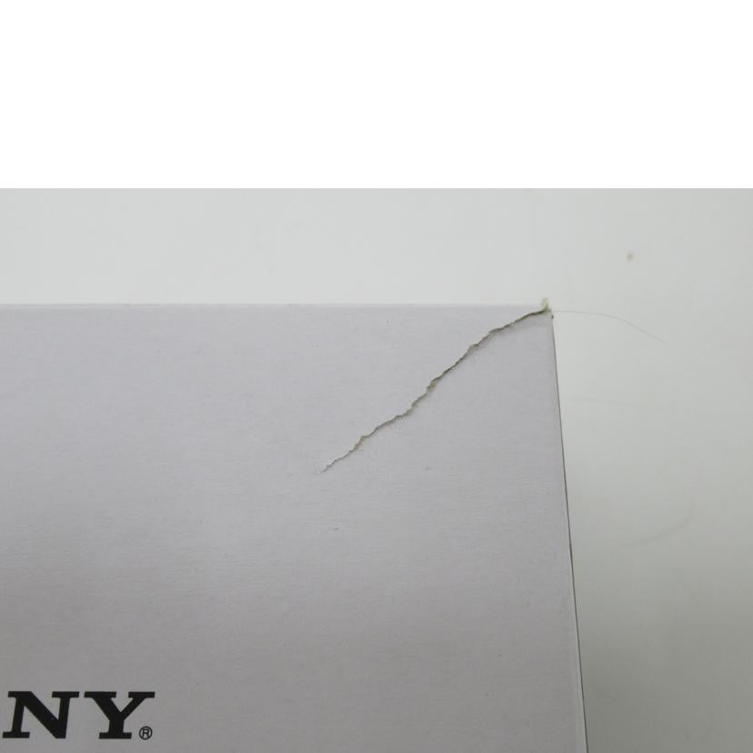 SONY/WALKMAN/オレンジ/NW-A105//001045ac95004919/Aランク/63