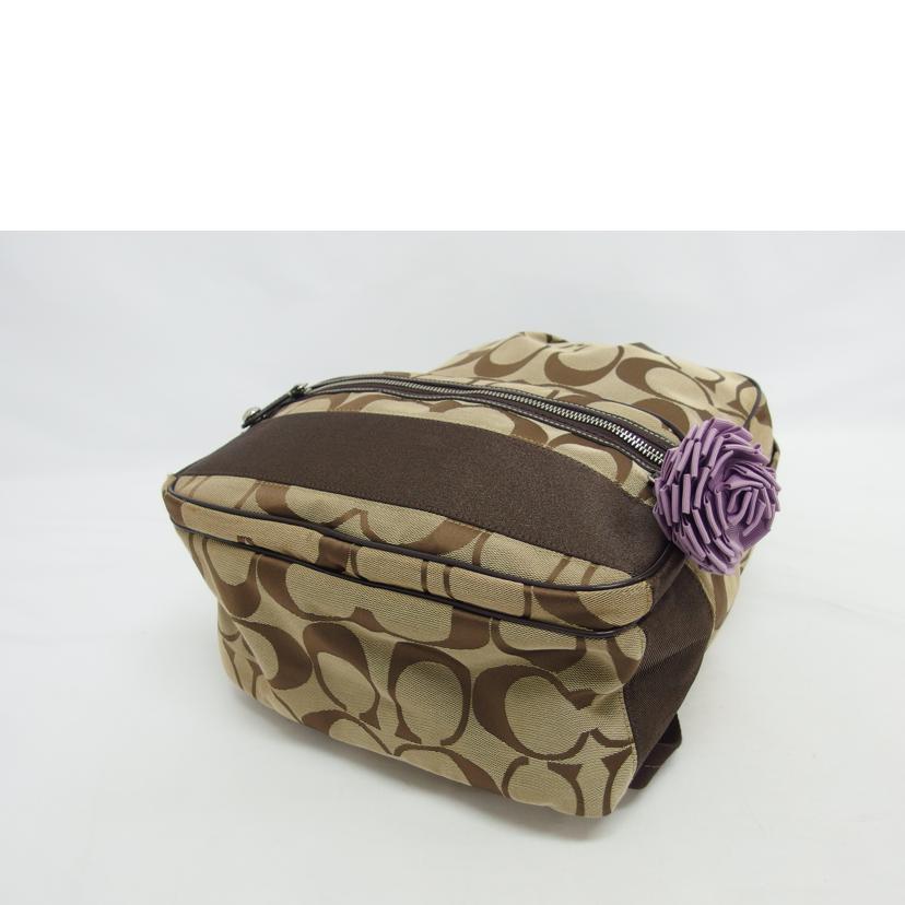 COACH コーチ/シグネチャーリュック/バックパック/ベージュ×ブラウン/77171//E1169/ABランク/04