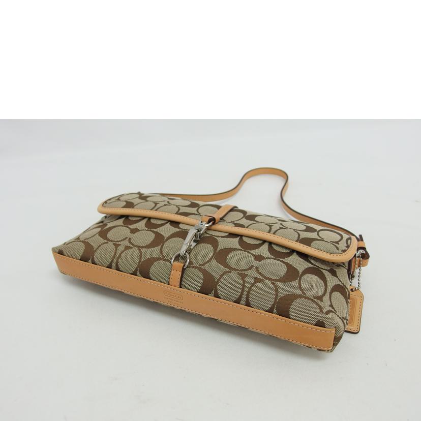 COACH コーチ/シグネチャー/クリップデミポーチ/6348//J3U/ABランク/04