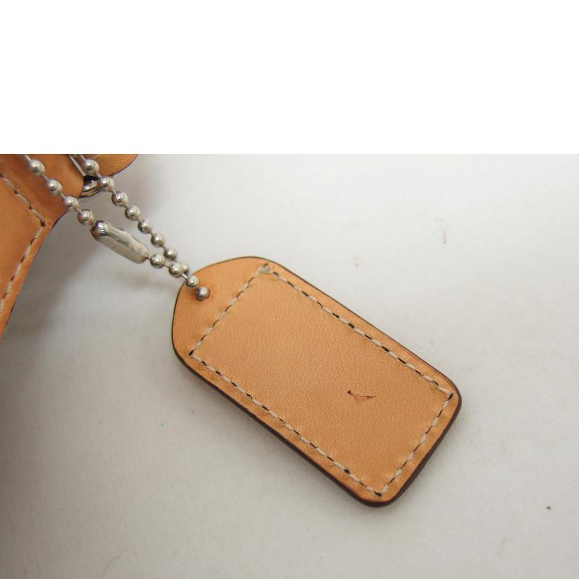 COACH コーチ/シグネチャー/クリップデミポーチ/6348//J3U/ABランク/04