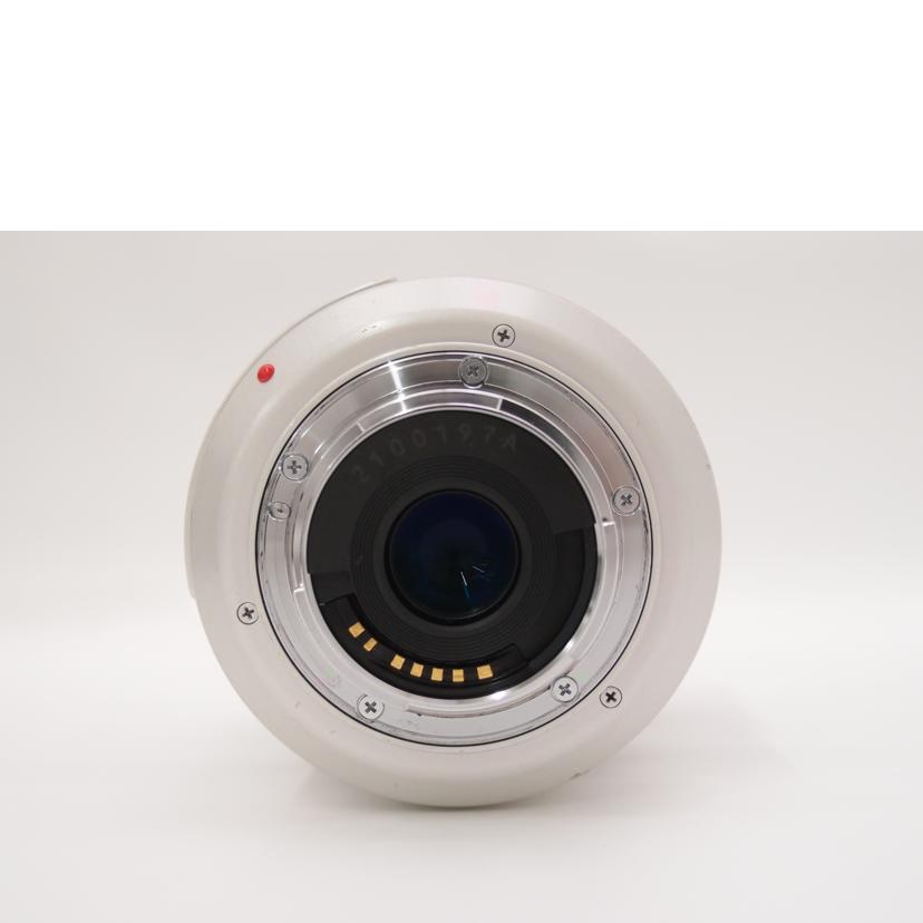 Canon キャノン/業務用ビデオカメラ/XL2//331900300002/Cランク/69