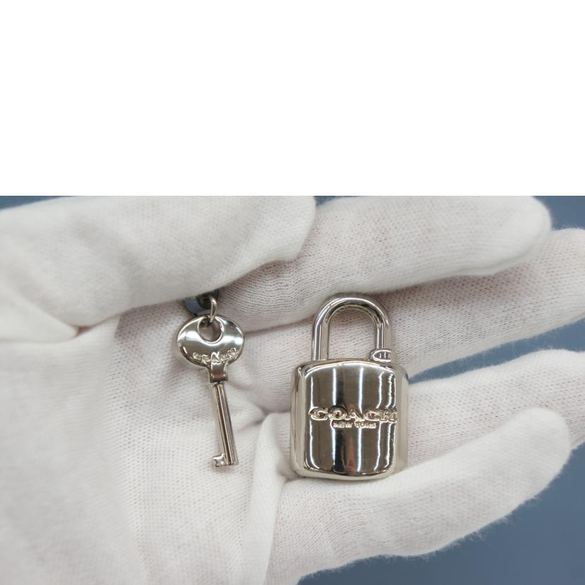 COACH コーチ/ゾーイキャリーオール2WAYショルダーバッグ/F49500//ABランク/05