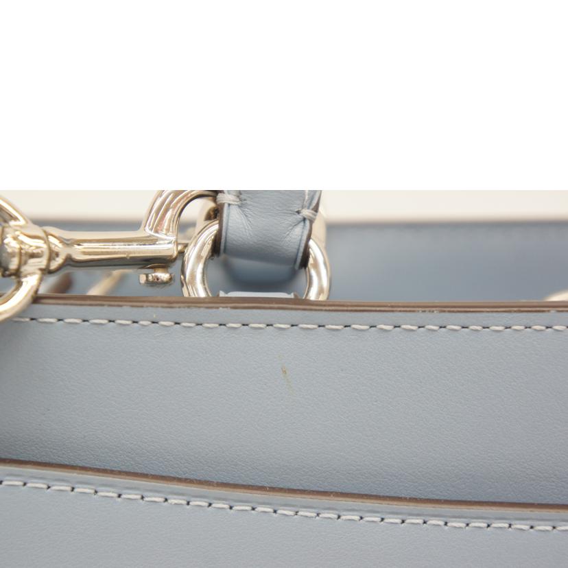 COACH コーチ/ゾーイキャリーオール2WAYショルダーバッグ/F49500//ABランク/05